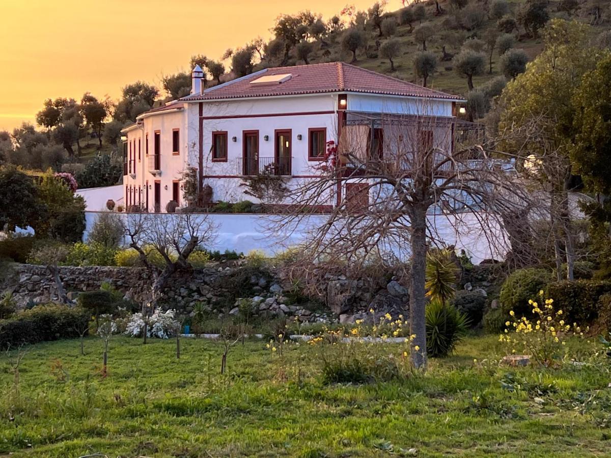 Quinta Da Asneira Appartement Montemor-o-Novo Buitenkant foto