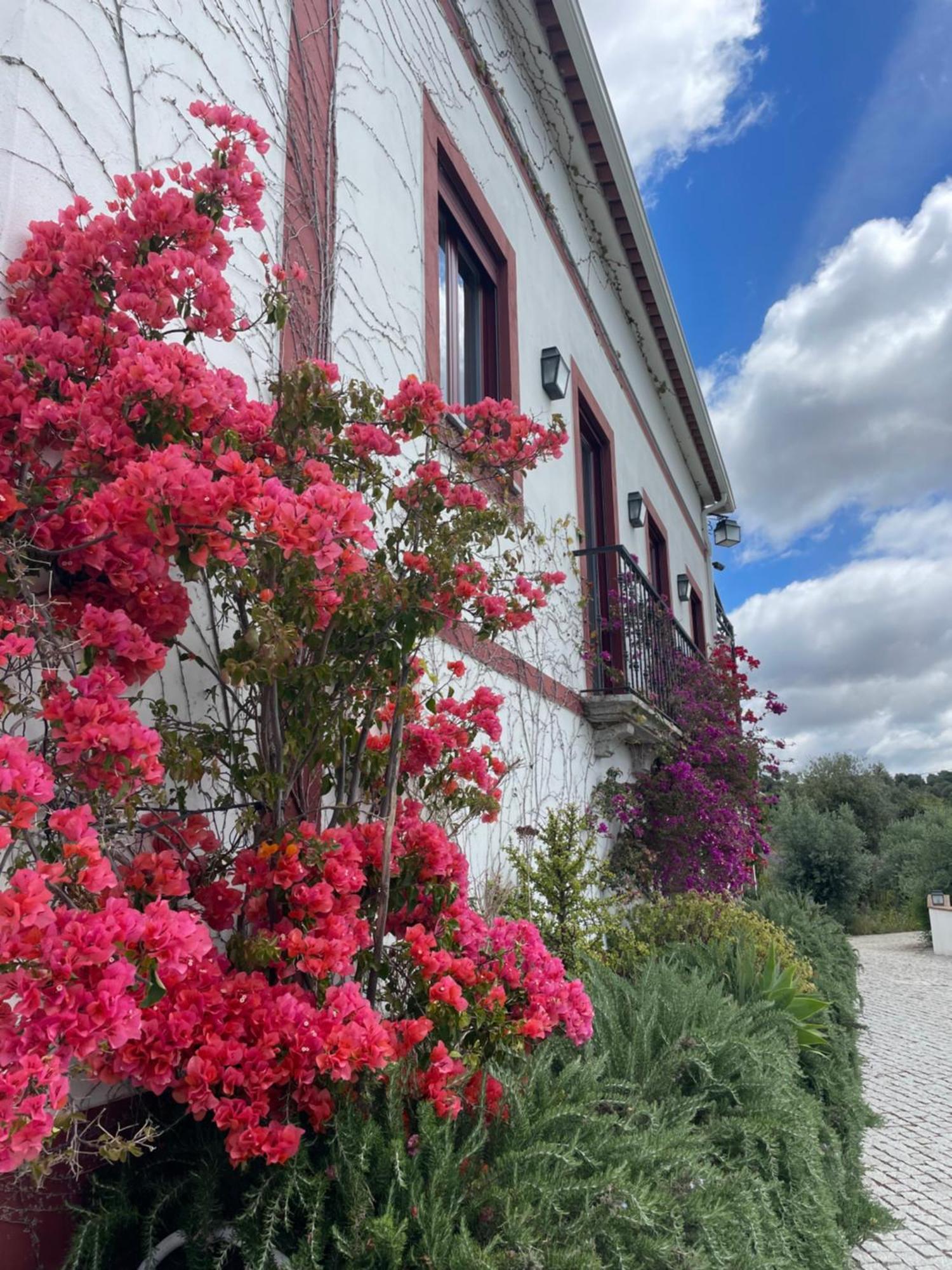 Quinta Da Asneira Appartement Montemor-o-Novo Buitenkant foto