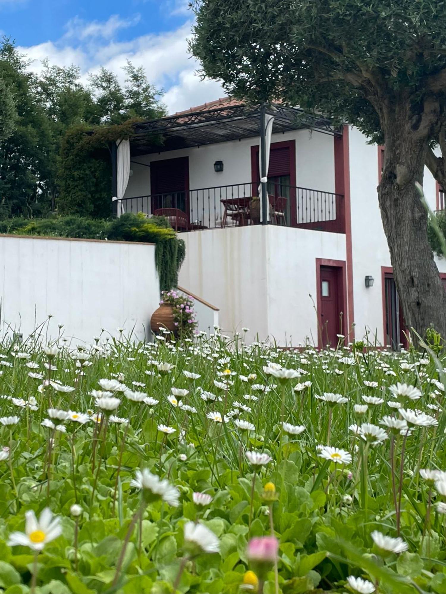 Quinta Da Asneira Appartement Montemor-o-Novo Buitenkant foto