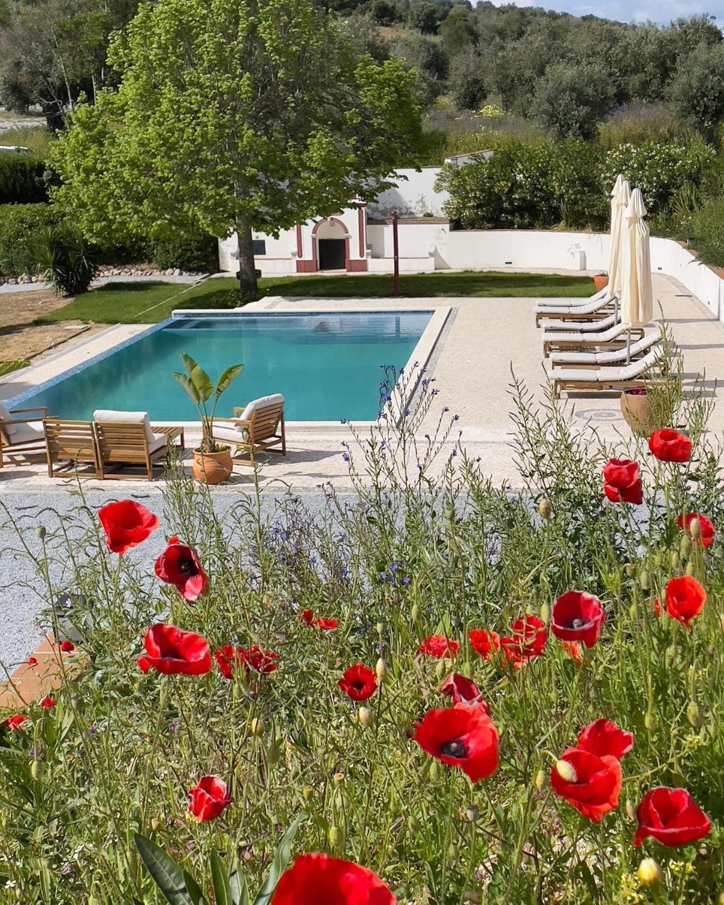 Quinta Da Asneira Appartement Montemor-o-Novo Buitenkant foto