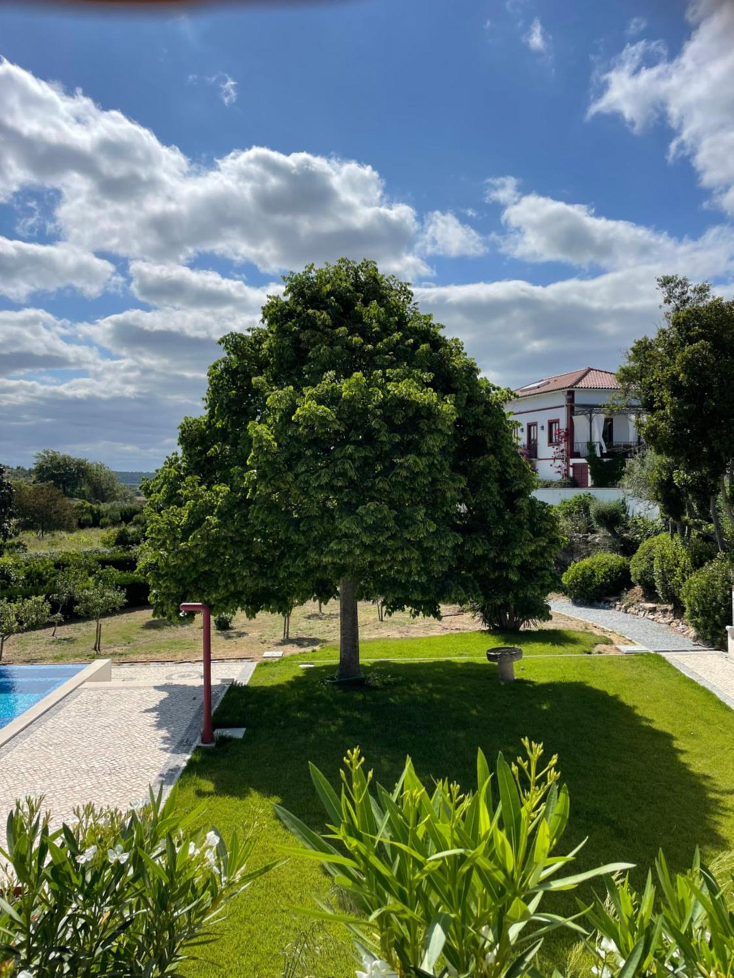 Quinta Da Asneira Appartement Montemor-o-Novo Buitenkant foto